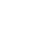 Iron Star Realty