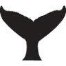 Iron Whale