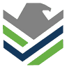 IRS MASTERS INC