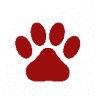 Parkers Prairie High School