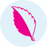 Isensee Gartenbau GmbH