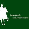 Islandpferde vom Friedrichstein