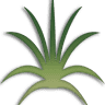 Island Way Grill