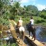 Itacaré EcoRanch