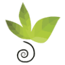 Ithaca Health Alliance