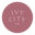 Ivy City Co