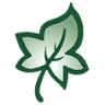IvyCrest Montessori Private School
