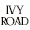 Ivy Road Photography