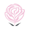Ivy Rose Hair Studio