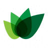 Ivy Wealth