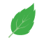 Integrated Wealth Management