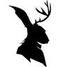 Jackalope Motorradschmiede