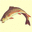 Jackson's Fishing Tackle