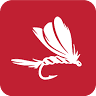 Jackson Cardinal Flies