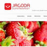 Jagoda trgovina