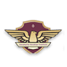 Jawaharlal Aviation Institute( Nehru College)