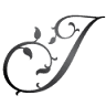 JaneKav Gallery