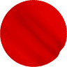Japan Mission