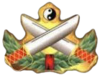 Jason Lau Wing Chun Kung Fu
