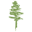 Jasper Lumber Company LLC