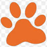 Jasper's Utila Animal Shelter