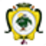 Universidad Jatun Yachay Wasi