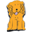J-B Pet Supplies