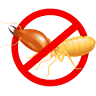 JDM TERMITE & PEST MANAGEMENT