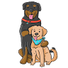 Jeffurry’s Pet Care