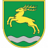 Trg mlikarice Dražice