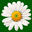 Jen-Mor Florist