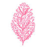 Floreria Jennys Design