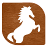 Hotel Horse Riding