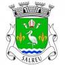 Parish Council of Salreu