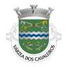 Junta de Freguesia de Várzea dos Cavaleiros