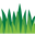 Jimboomba Turf Production Facility
