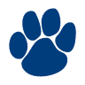 Jimboomba Veterinary Surgery