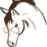 J.M. Dion, LLC | Equestrian Accounting