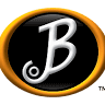 Johnson Battery Company