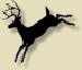 Joshua Deer Processing