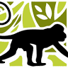 Joshuas Amazon Expeditions