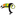 Toucan Toys