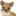 Pets & Co