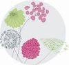Jane Scott Moncrieff Garden Design