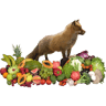 Frutas Y Verduras Juan González Agua