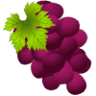 Jubilation Wine & Spirits