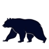 Bear Creek Outfitters