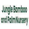 Jungle Bamboo and Palms
