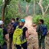 Jungle safari tours