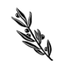 Juniper Market